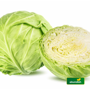 Cabbage ( Large)