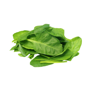 Palak (Indian Spinach)