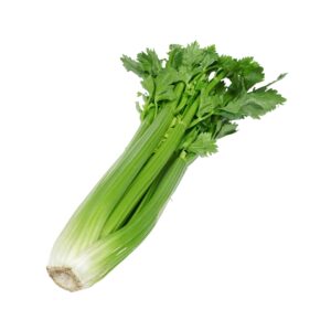 Celery