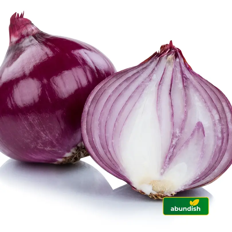 Onion - Purple (1 Paint)