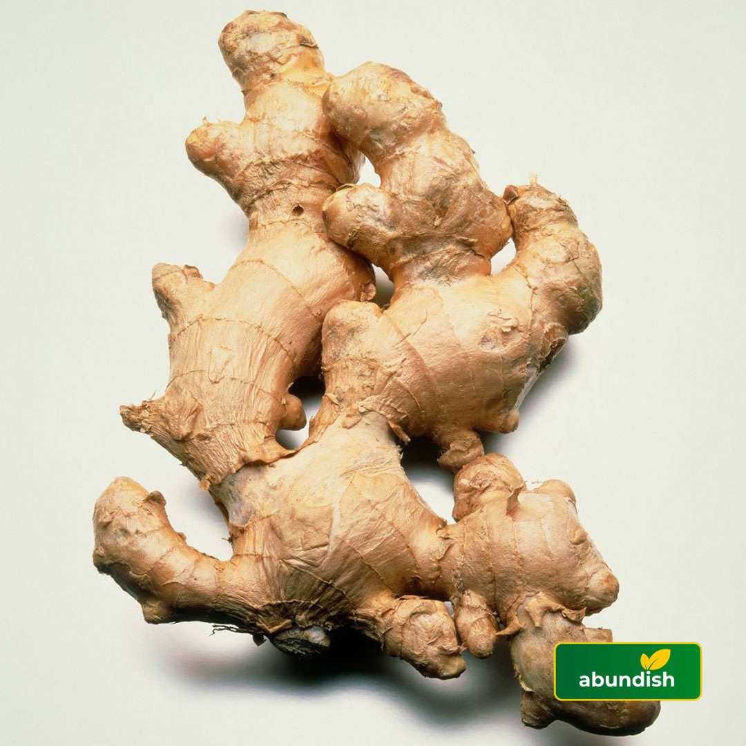 Ginger (Raw) - (2.5kg) (1 Paint)