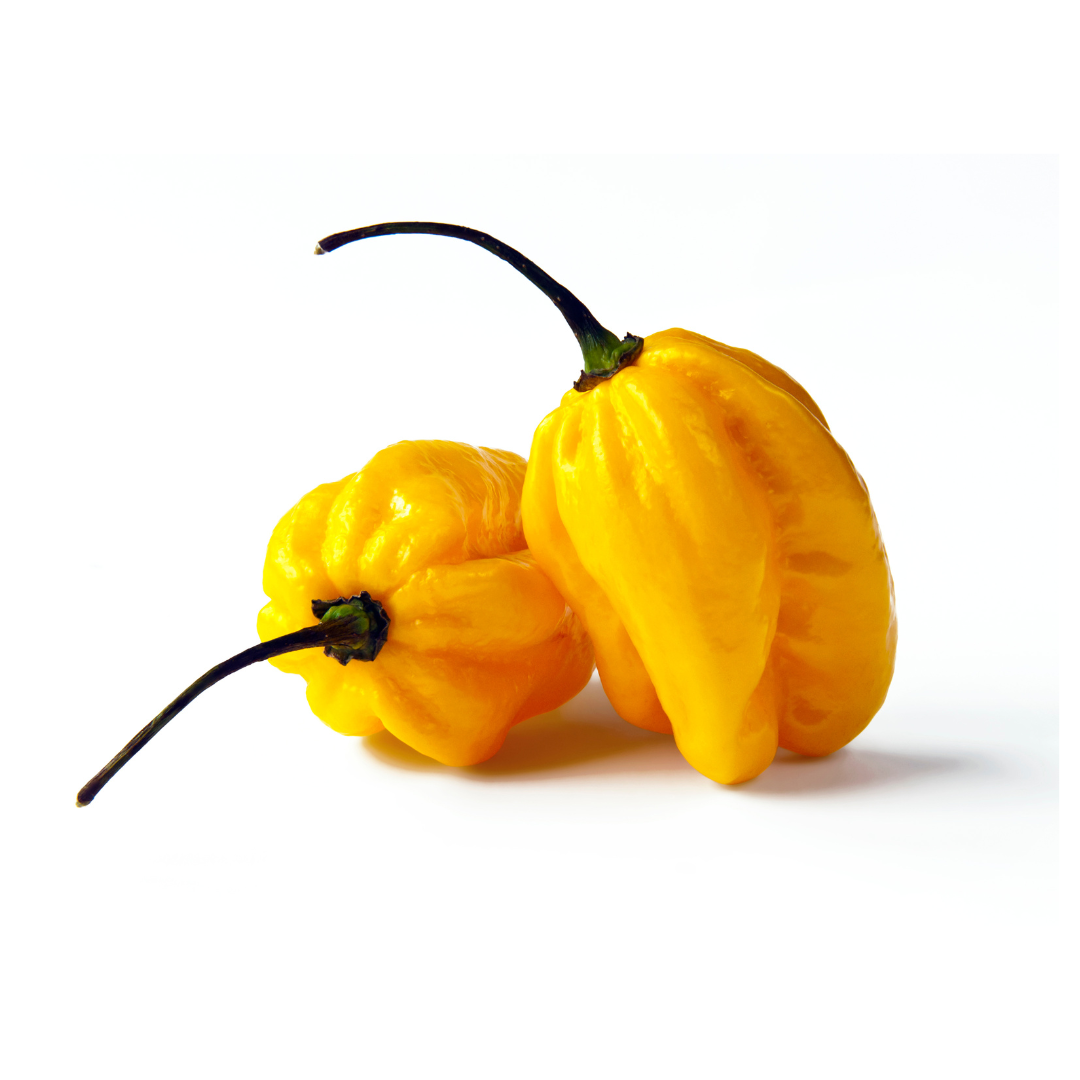 Yellow Habanero Pepper (1kg)