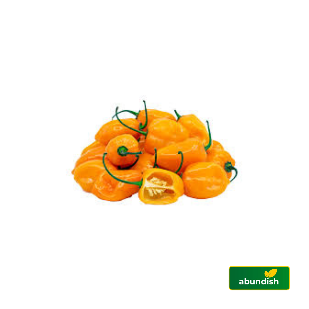 Yellow Pepper (1 Paint)