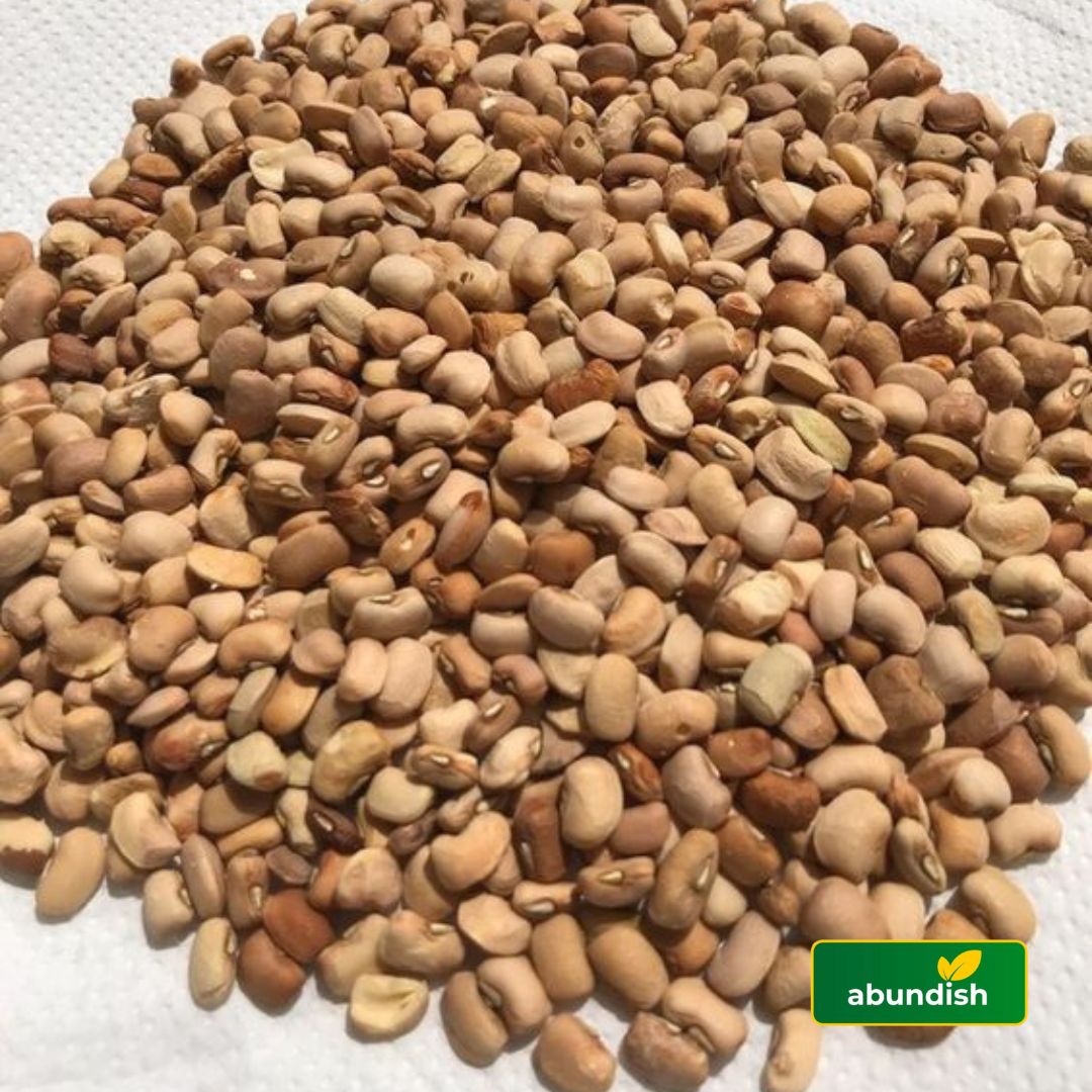 Beans - Oloyin (1kg) - Picked & Cleaned